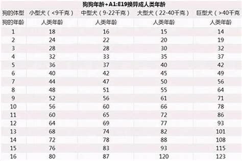 属狗的今年几岁|2024年属狗的多大年龄 2024年属狗岁数表